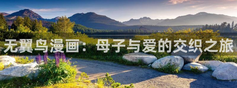 奇漫屋漫画最新版：无翼鸟漫画：母子与爱的交织之旅