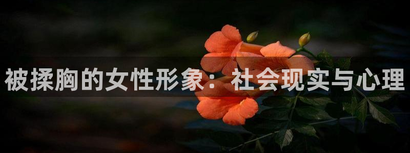 奇漫屋免费漫画观看：被揉胸的女性形象：社会现实与心理